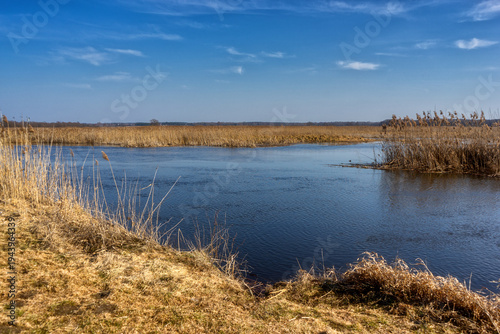 Przedwiośnie w Narwiańskim Parku Narodowym, Podlasie, Polska