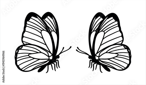 A pair of black and white butterfly wings illustration