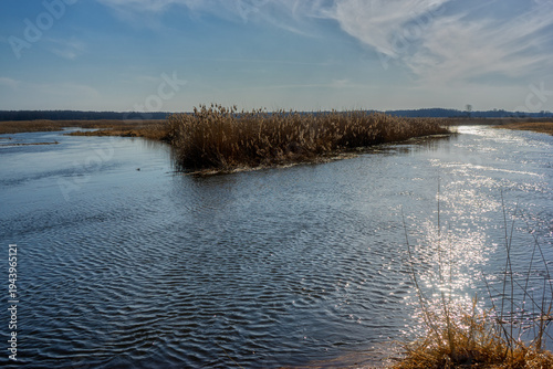 Przedwiośnie w Narwiańskim Parku Narodowym, Podlasie, Polska