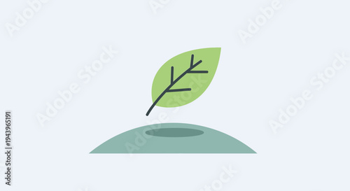 A single green leaf emerges from the earth, symbolizing new growth and natural beginnings