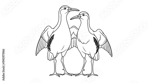 Two Elegant Stilts: A charming illustration of two stilt birds, showcasing their long legs and distinctive markings, standing side-by-side in a minimalist presentation.