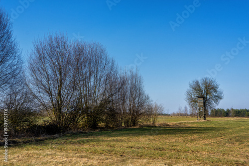 Przedwiośnie w Narwiańskim Parku Narodowym, Podlasie, Polska