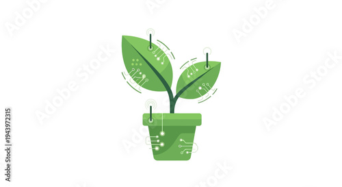 Green Plant Growing in a Pot with Leaves.