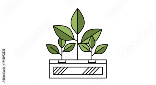 Green Plants Growing in a Modern Planter Box.