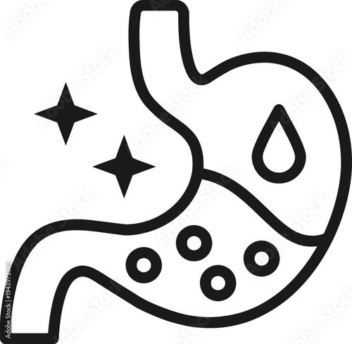 Stomach Anatomy Medical Illustration.