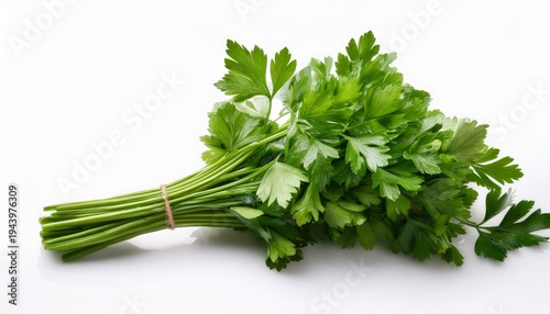 fresh parsley bunch isolated on white background