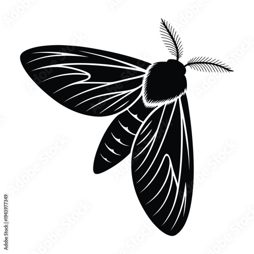 Moth flying with angled wings Vector, Silhouette, Illustration