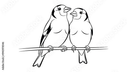Two Finches Perched Together: A charming black and white illustration depicts two finches perched side-by-side on a thin branch, their beaks touching in a tender moment.