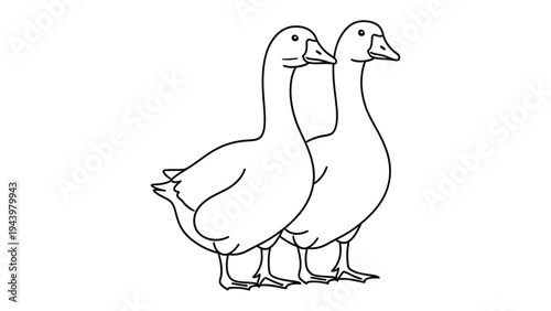 Pair of Geese Outline: A simple yet elegant line drawing of two geese standing side-by-side, perfect for logos, educational material, or minimalist design.