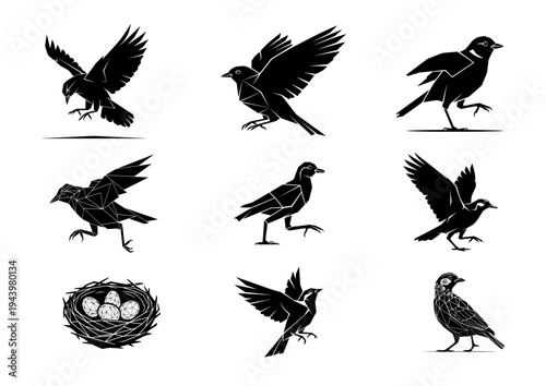 Black Bird Silhouette Set Flying Walking Landing Crow Raven Vector Collection Isolated on White