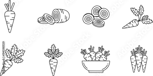 "Black and white line art vector illustrations of fresh carrots, sliced carrots, and carrot bunches in a minimalist style."