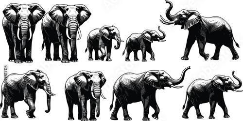 Black and White Elephant Illustration Set, Detailed African Wildlife Graphics, Hand Drawn Safari Animal Silhouette for Nature Conservation and Design,