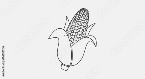 Simple outline drawing of an ear of corn or maize, isolated food icon in black and white line art illustration style.