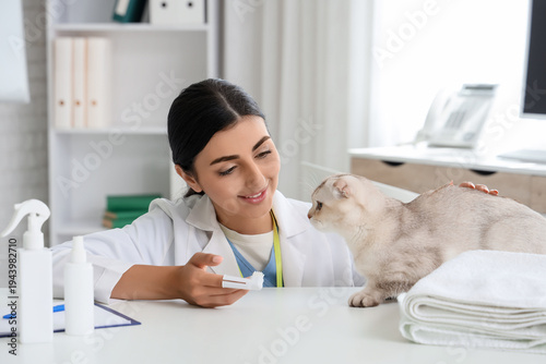 Young female veterinarian with toothbrush and cute Scottish fold cat in vet c...
