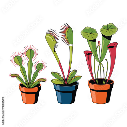 A colorful illustration of carnivorous plants in pots on a plain background