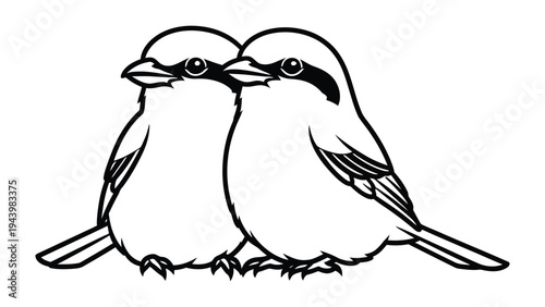 Connected Souls: A Pair of Birds in Monochrome: A captivating monochrome illustration of two birds, side by side, their bond mirroring a shared journey of connection and togetherness. 