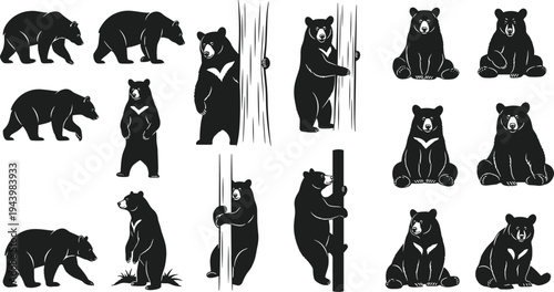 Black Bear Silhouette Vector Set, Hand Drawn Grizzly Illustrations, Forest Wildlife Outlines Isolated on White, Climbing and Standing Bear Graphic Icons (21 words)