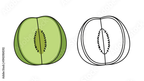 Illustration of a green kiwi fruit cut in half with seeds next to a black line drawing of a kiwi on a white background.