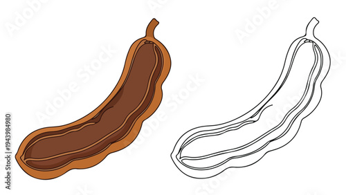 Illustration of two eggplant vegetables, one brown and outlined in orange, the other in gray lines, against a white background.