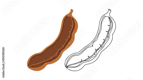 Illustration of a brown and a white bean side by side on a plain white background in a simple graphic style.