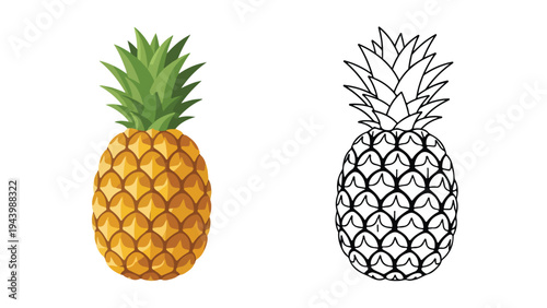 Two pineapples, one colorful and one line-art illustration, on a clean white background.