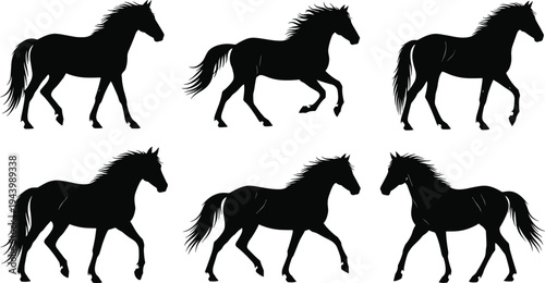 Set of running horse silhouettes collection galloping horse vector illustration isolated on white for logo tattoo design mascot branding