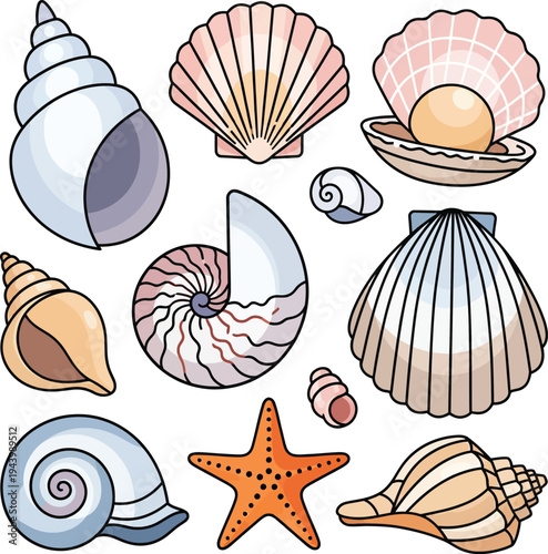 Collection of Diverse Seashells and Starfish Illustration.
