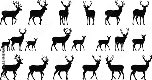 Black deer silhouette vector set, standing and walking buck with antlers, reindeer and fawn collection, forest wildlife isolated on white,
