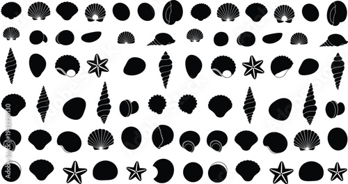 Seashell silhouette vector set, ocean shell collection with starfish icons, marine beach elements clipart, black sea life illustration