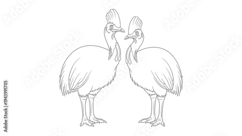 Cassowary Illustration: A minimalist illustration of two cassowaries, these impressive birds, is presented in stark monochrome, highlighting their unique features and form.