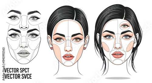 Makeup Contour and Highlight Face Chart Tutorial Vector Illustration