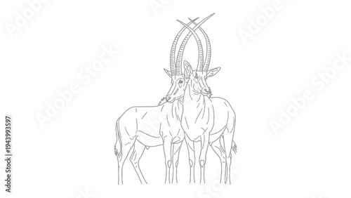 Serene Sable Antelopes: Two elegant sable antelopes, with their distinctive long horns, stand in a close embrace. A testament to nature's beauty and the bond of companionship.