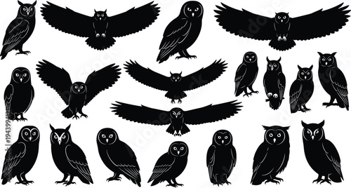 Owl silhouette collection, flying bird outline, perched figure design, nocturnal animal icon, feather illustration motif, wildlife nature art