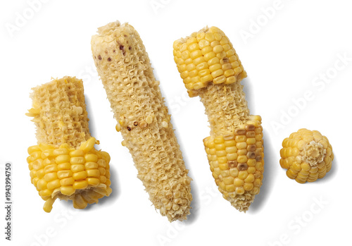 Tableau sur toile top view photograph of discarded corn cobs and kernels on a plain transparent background, showcasing the texture and detail of the leftover food
