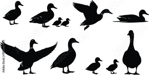 Black duck silhouette vector set, mallard and duckling family collection, flying and swimming water bird graphics isolated on white background,
