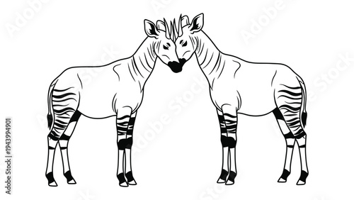 Okapi Duo in Embrace: Two elegant okapis stand nose to nose, their striped legs and unique features creating a captivating silhouette of natural harmony and connection.