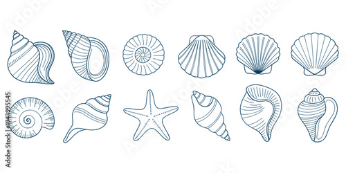 Collection Of Hand Drawn Blue Outline Seashells And Starfish On White Background ocean marine