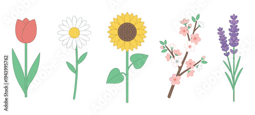 Collection of five different flowers including a tulip, daisy, sunflower, cherry blossom, and lavender, illustrated in a simple, clean, and minimalist flat vector style