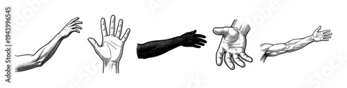 Collection of vintage engraved human hands and arms showing various gestures and anatomical details in a classic black and white woodcut illustration style for medical or artistic study
