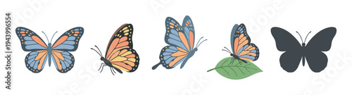 Set of colorful butterfly illustrations in various poses, including flying, sitting on a leaf, and a simple dark silhouette for a charming decorative design element collection