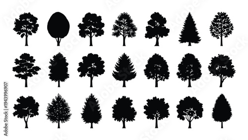 A comprehensive collection of diverse tree silhouettes for design and educational purposes