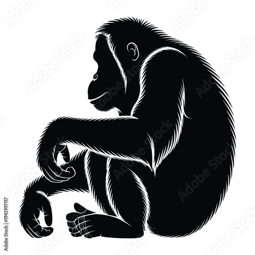 Orangutan sitting with arms wrapped around knees Vector, Silhouette, Illustration
