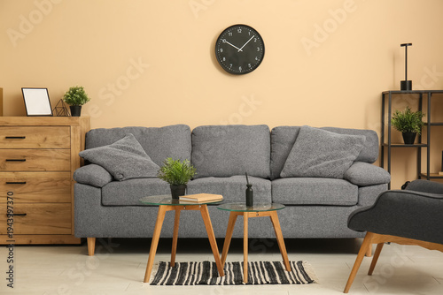 Interior of stylish living ...