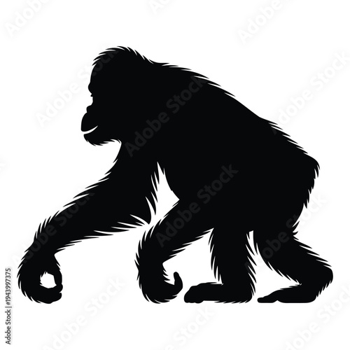 Orangutan walking on all fours Vector, Silhouette, Illustration