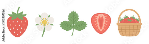 Set of strawberry illustrations showing a whole berry, flower, leaf, half slice, and a wicker basket full of fresh ripe fruit, a cute and simple flat vector graphic collection