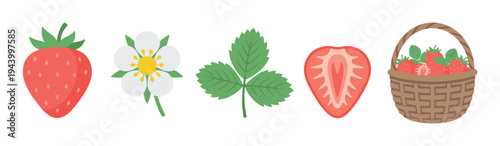 Set of strawberry plant illustrations showing the whole fruit, flower, leaf, a half slice, and a full wicker basket of fresh berries in a simple, flat vector cartoon style