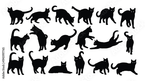 Collection of diverse cat silhouettes in various poses and angles on a white background