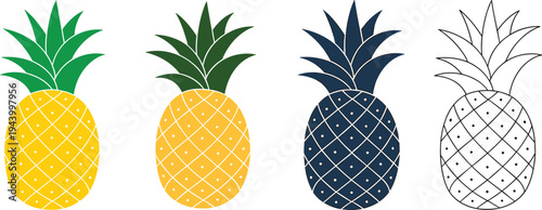 Four Pineapples with Different Patterns and Colors on White Background illustration