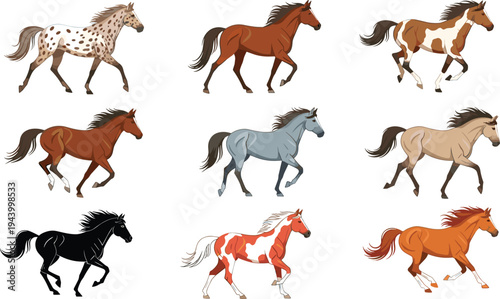 Set of running horses in various breeds and coat colors, dynamic equine collection, realistic animal vector illustration isolated on white background for design