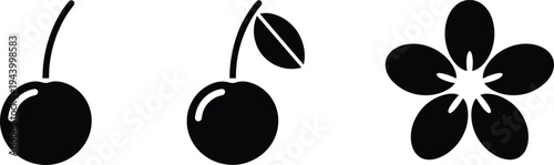 Minimalist black icons of a cherry, a cherry with a leaf, and a flower on white fruit silhouette